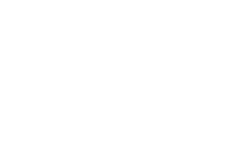 BASS