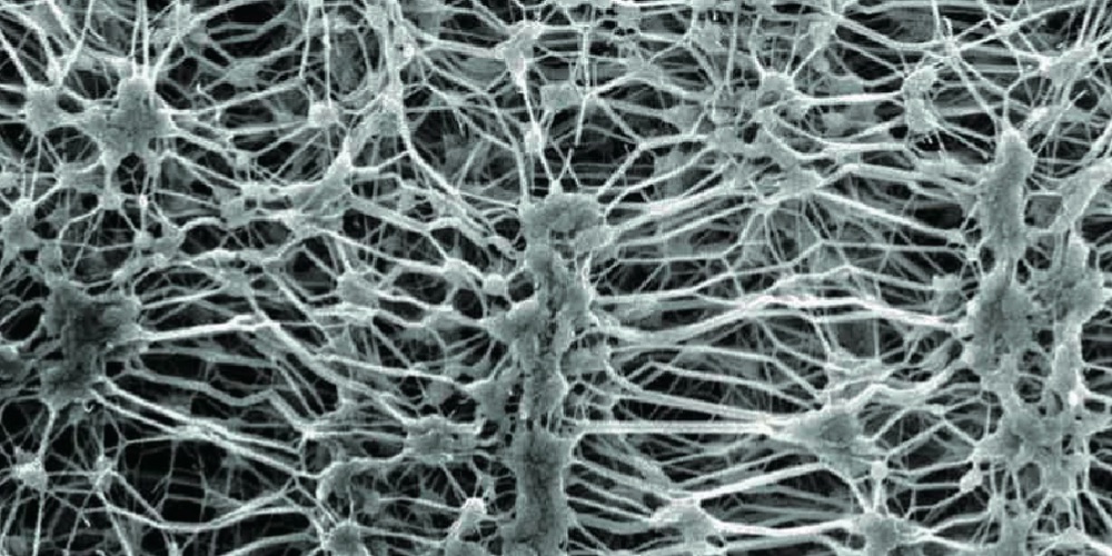 ゴアテックスメンブレン