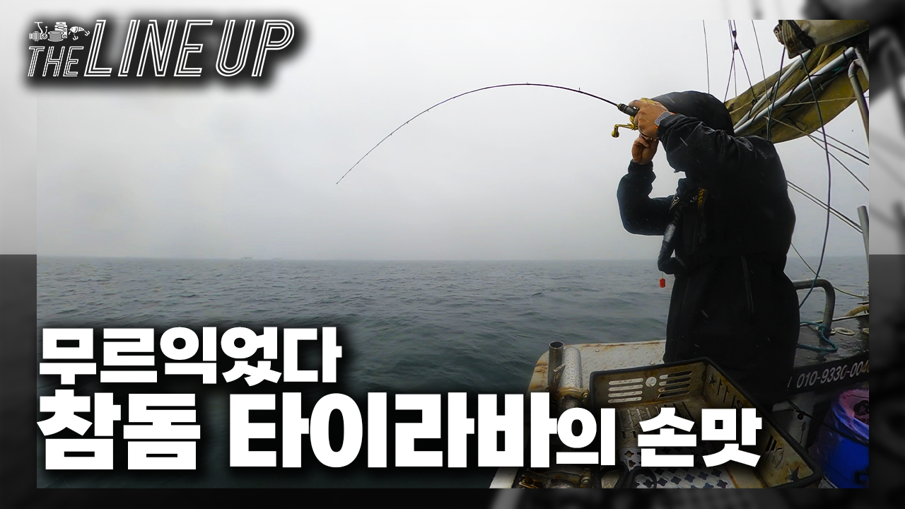 참돔시즌이 무르익어갑니다! 군산권 참돔 타이라바를 다녀왔습니다!