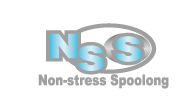 NSS