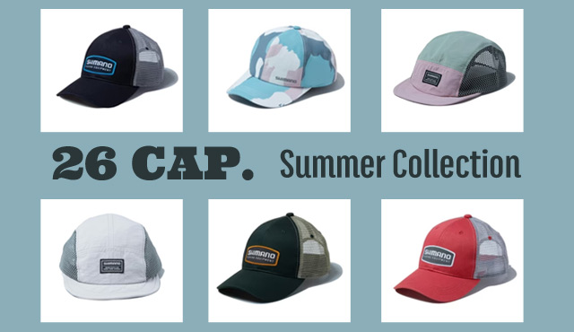 슬라이드 이미지